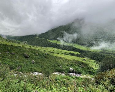 Best Time to Visit Valley of Flowers, Uttarakhand: Month-Wise Weather & Blooming Guide
