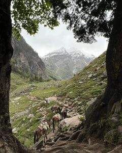 Complete Guide: Weather in Hampta Pass Month Wise Breakdown