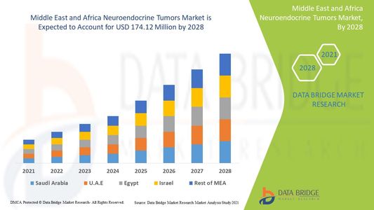 Neuroendocrine Tumors Market in Middle East and Africa Expands Due to Increasing Cancer Awareness