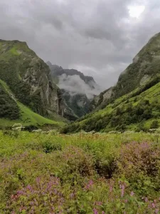How to Reach Valley of Flowers – Step-by-Step Guide for Every Traveler