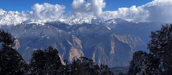 Monsoon Magic at Dayara Bugyal: A Visual Treat for Landscape Photographers