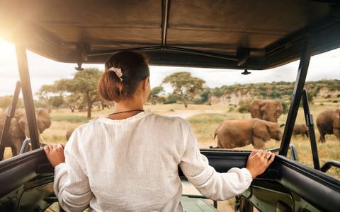 What to Wear on Safari in Kenya – Expert Tips & Checklist