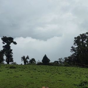 Dayara Bugyal Weather and Temperature Guide