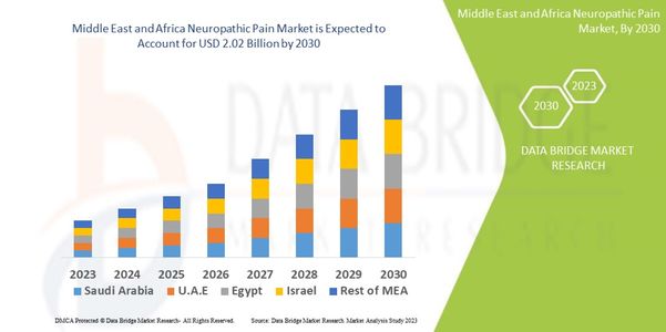 Pain Management Breakthroughs: Middle East and Africa Neuropathic Pain Market Sees Growing Innovatio