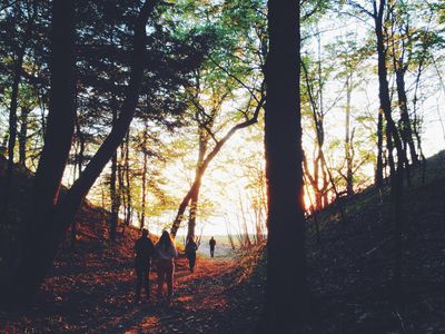 Andharban Trek – A Misty Monsoon Adventure Through the Dark Forest