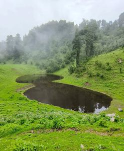 When the Clouds Come Down: Monsoon Treks in the Foggy Silence of Dayara Bugyal