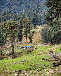 Exploring Dayara Bugyal: A Journey of Adventure and Culture