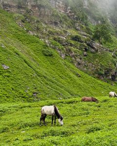 The Ultimate Checklist for Hampta Pass During Rainy Season