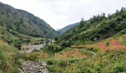 4 Must-Visit Trekking Trails in Govind National Park