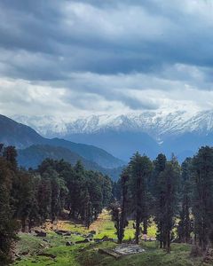 5 Reasons to Experience Dayara Bugyal Trek During the Monsoon
