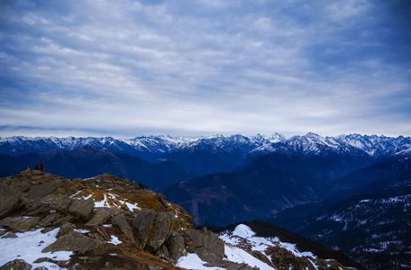 Wildlife and Natural Beauty of the Kedarkantha Trek: Birds, Forests, and More