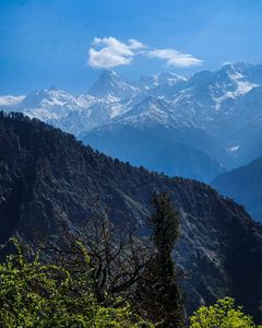 Why dayara bugyal is a grand snow trek for beginners