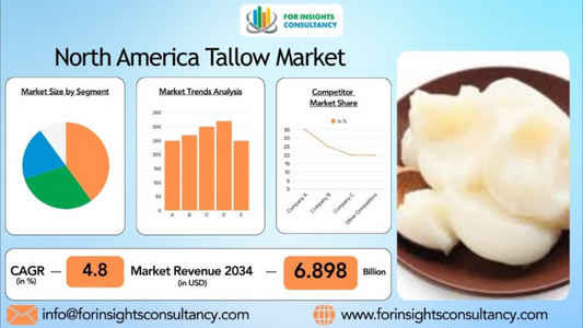 North America Tallow Market Showdown: How Major Players Compete in 2025