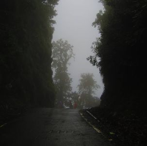 Avoid These 7 Mistakes When Planning a Monsoon Trip to Chopta–Tungnath