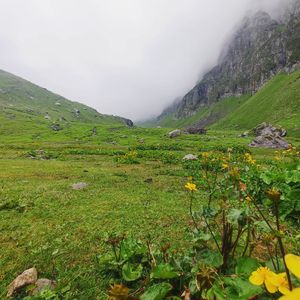 Hampta Pass Trek Timing: What You’ll See in June, July, August & Beyond