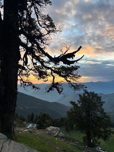 Why Monsoon Might Be the Best Time for Photographers in Chopta & Deoriatal