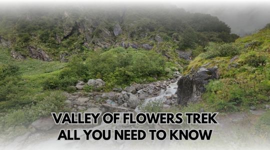 Valley of Flowers Trek: All You Need to Know