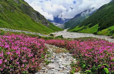 Ghangaria to Valley of Flowers Trek: Everything You Need to Know