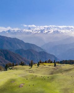5 Unexpected Reasons to Visit Dayara Bugyal During Monsoon Season