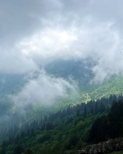 Best Treks Around Manali: 5 Unforgettable Trails You Should Explore