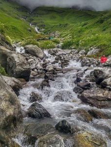 Pushpavati River and Its Role in the Blooming Marvel of Valley of Flowers