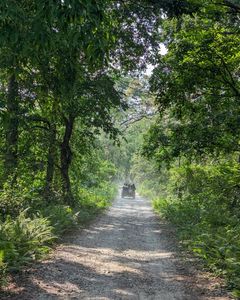 Explore the Wild: State-wise List of National Parks in India