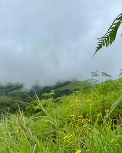 Best Monsoon Treks in India for Unforgatable Experience