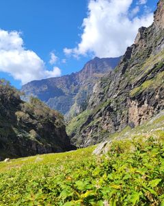 Hampta Pass vs Bhrigu Lake in Monsoon: Where Should You Go This August?