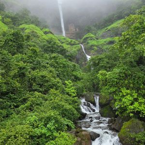 India’s Biodiversity Hotspots: Nature’s Treasure Troves You Need to Know About