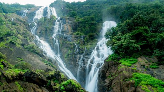 Chasing the Roar: A Waterfall Adventure on the Dudhsagar Trek