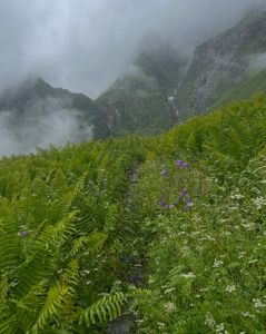Valley of Flowers National Park, Uttarakhand – A Complete Guide