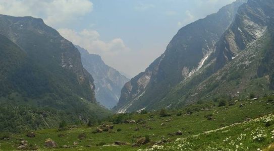 From Ghangaria to Glory: Highlights of the Valley of Flowers Trek