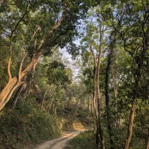 Top 10 Most Beautiful National Parks in the India