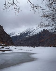 Lahaul Valley: Where Life Blooms in the Rugged Spiti Landscape