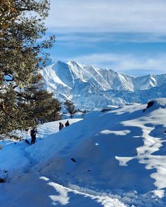 Brahmatal Trek Uttarakhand