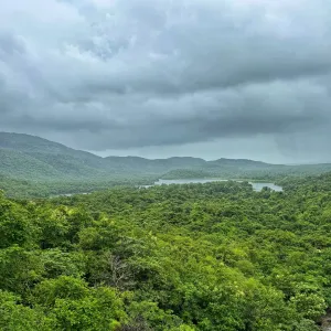 Biodiversity Hotspots: Explore India’s Natural World Heritage Locations