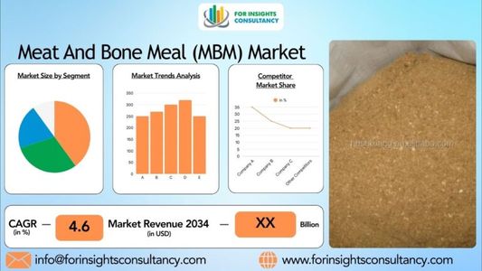 Meat And Bone Meal (MBM) Market Overview: Size, Share, Opportunities & Future Projections