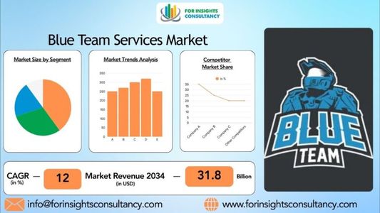 Blue Team Services Market: Key Insights & Growth Outlook