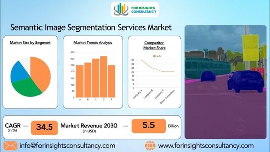 Semantic Image Segmentation Services Market 2025 | Anticipating Current and Future Growth Analysis B