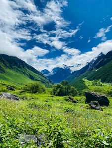 Weather in Valley of Flowers: Prepare for Rain, Chill, and Sunshine