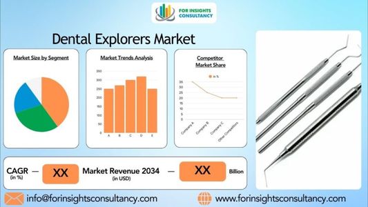 Dental Explorers Market Leaders, Graph, Insights, Research Report