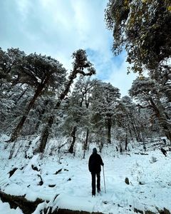 Dayara Bugyal Trek