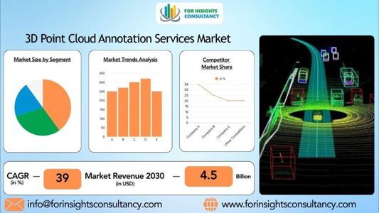 3D Point Cloud Annotation Services Market Examining Trends, Growth, and Opportunities