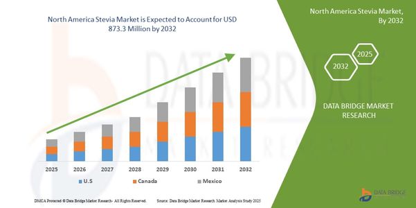 Natural Sweetener Trends Boost North America Stevia Market Growth