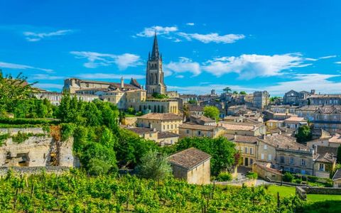Best Wine Regions in France for First-Time Visitors