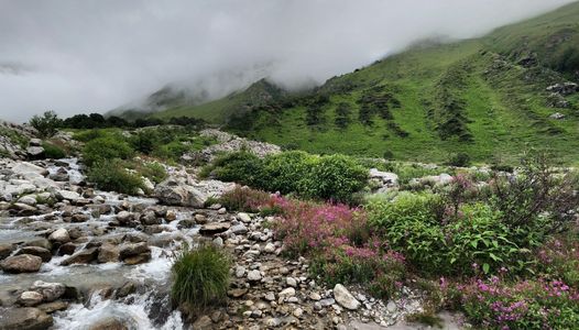Wild and Wonderful: Underrated Himalayan Spots You Must Visit
