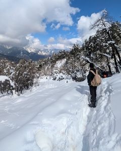 Dayara Bugyal Trek Uttarakhand