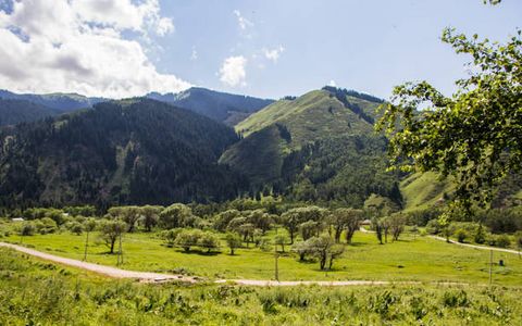 Top Places to Visit in Kyrgyzstan for Nature Lovers