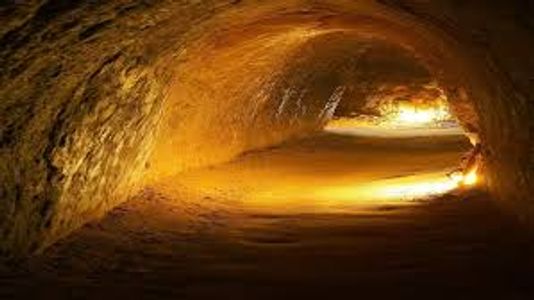 Cu Chi Tunnel Tour Vietnam: History, Tickets, How to Visit & Travel Tips (2025 Guide)