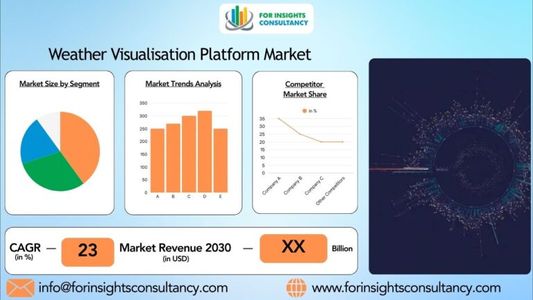 Weather Visualisation Platform Market Research Report: Growth, Share, Value, Trends, and Insights